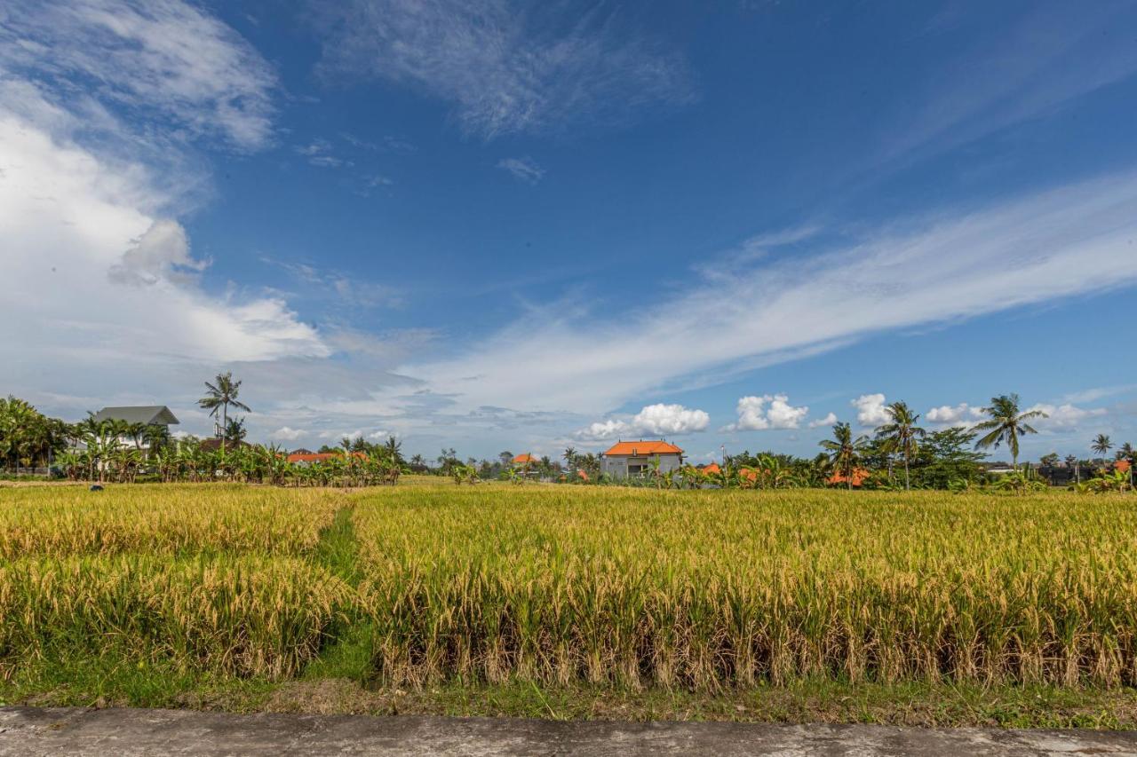 D'Jineng Rice Terrace Canggu Kültér fotó